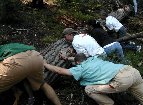 Muscling a log in 2002