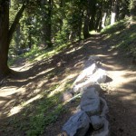 Lots of awesome trail design on the PCT